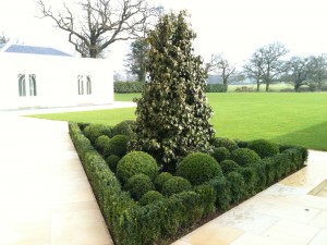Planting prestige
