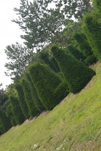 Keeping in trim