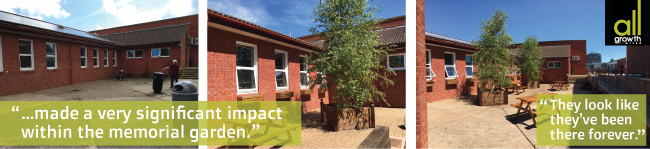 Longsands Academy Memorial Garden