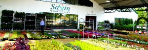 Savin Wholesalers