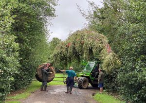 Tree delivery sorted