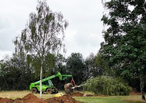 Large tree planting