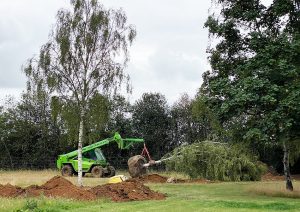 Ground ready and tree lifting
