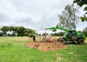 Ground ready and tree lifting