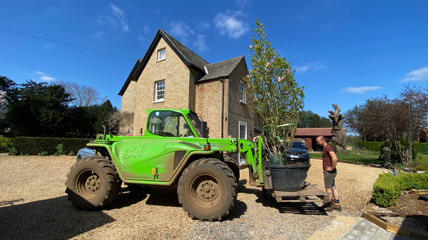 Private Garden tree planting