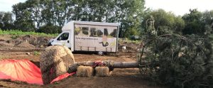 Large screening trees