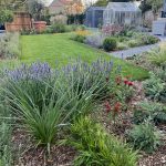 Seasonal colour Farmhouse Garden Cambridgeshire