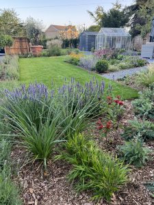 Seasonal colour Farmhouse Garden Cambridgeshire