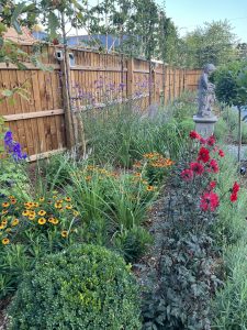 Perennials Farmhouse Garden Cambridgeshire