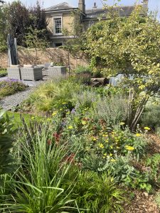 Herbaceous planting Farmhouse Garden Cambridgeshire