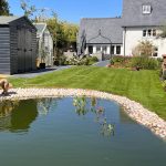 Pondside planting Farmhouse Garden Cambridgeshire