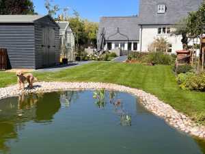Pondside planting Farmhouse Garden Cambridgeshire