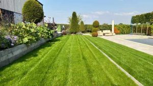 Lawn, topiary and shrubs on multi-levels