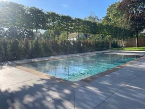 pleached tree pool screening