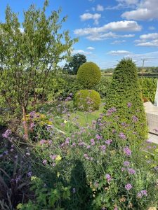 Topiary and herbaceous planting