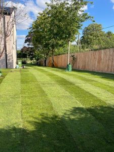 Large trees and statement planting